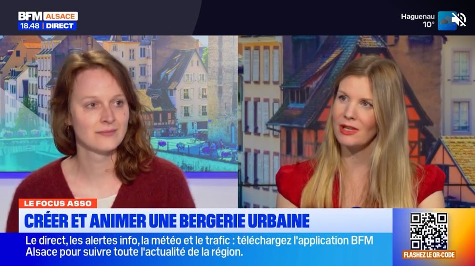 Photo du rapport d’activité