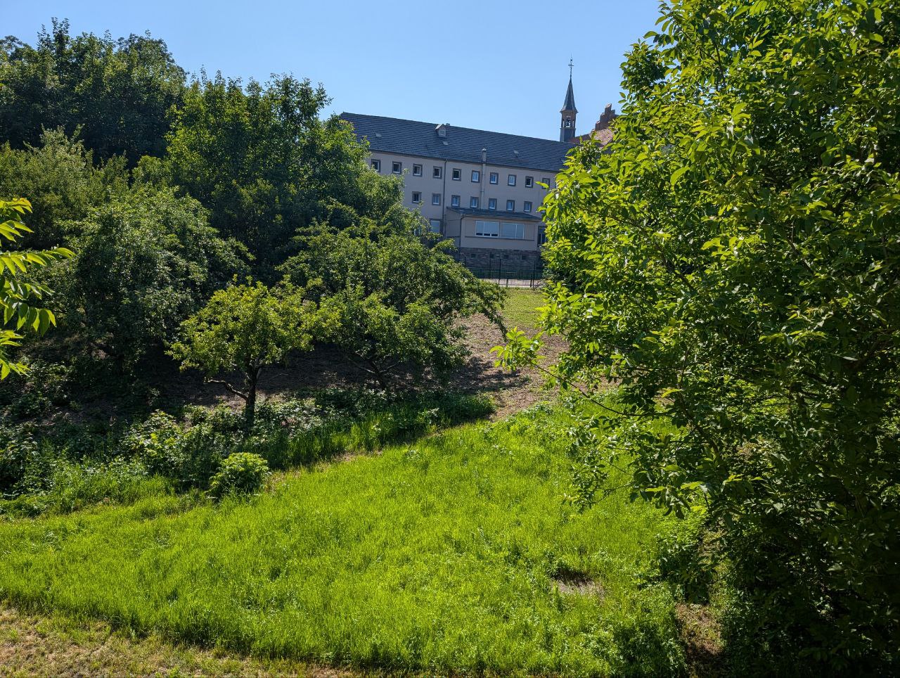 La photo du pré dans static/images