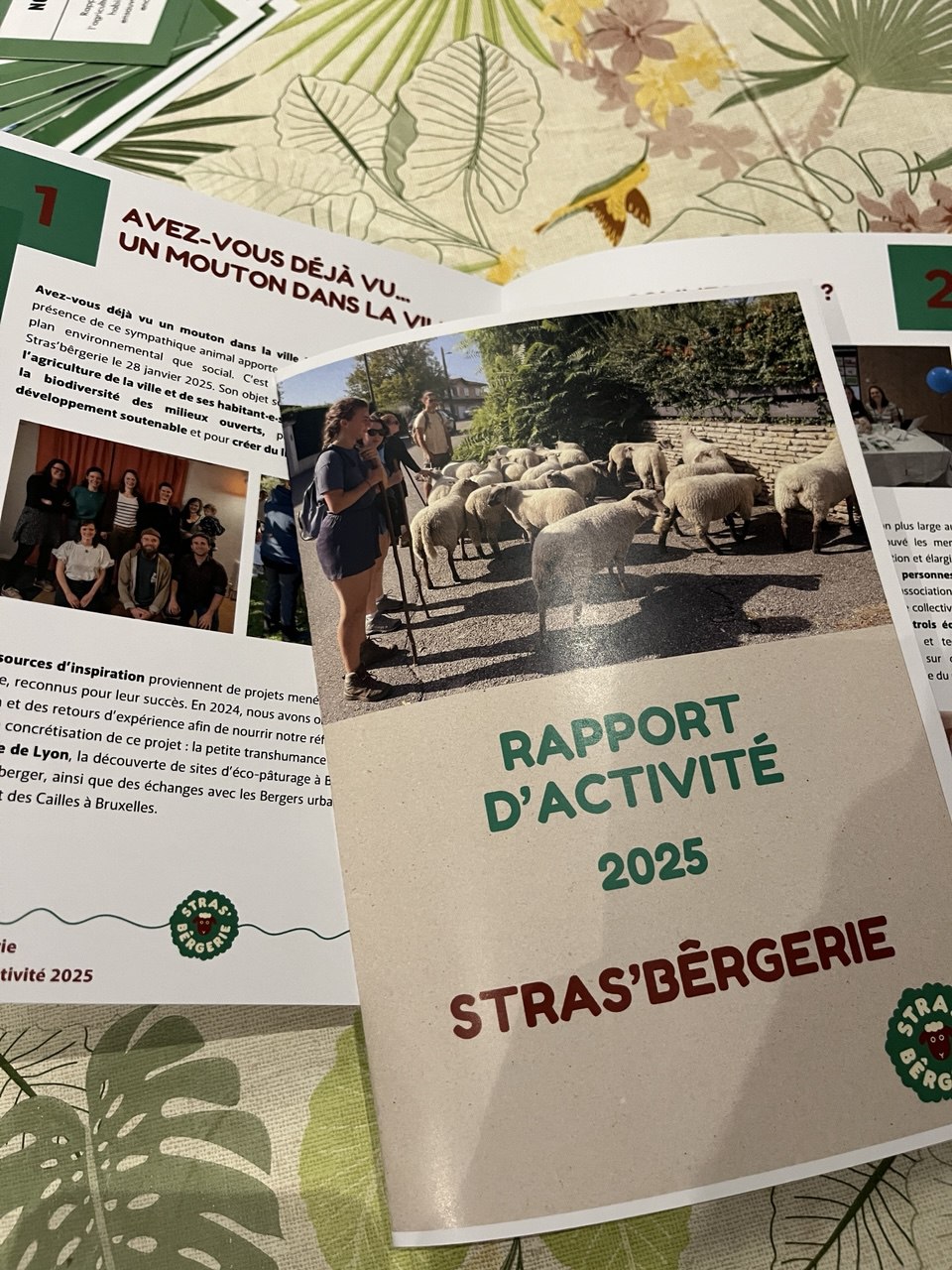 Photo du rapport d’activité