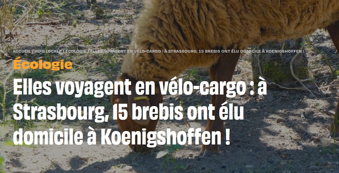 Vignette de l’article